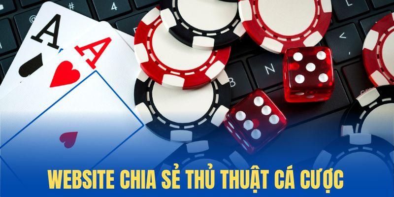 ve-chung-toi-thu-thuat-ca-cuoc